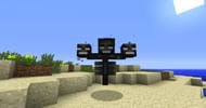 Wither's appearance (Image via planetminecraft)